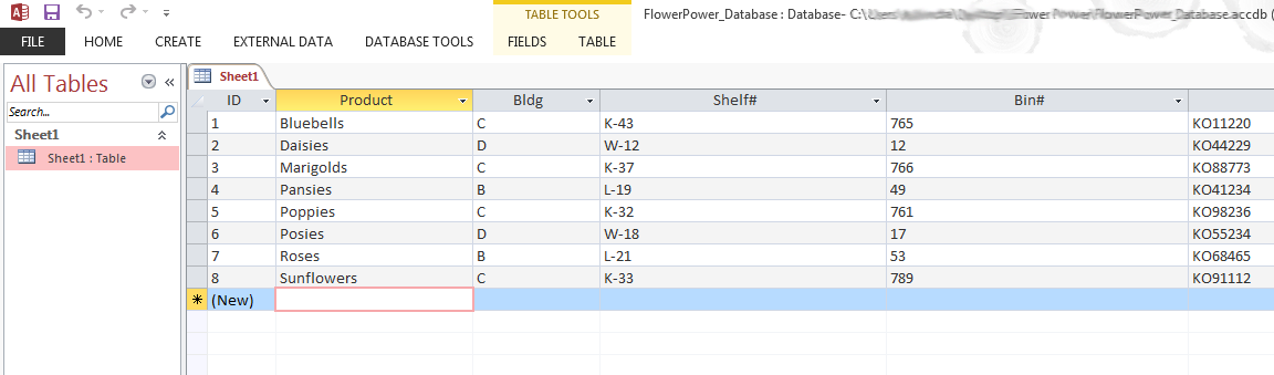 ISBN in Microsoft Access